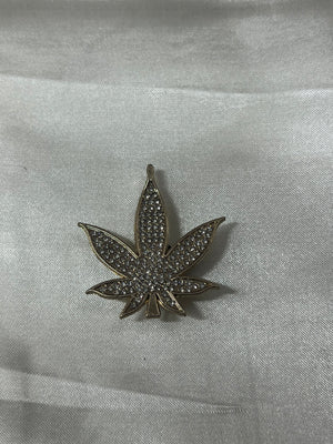SILVER WEED